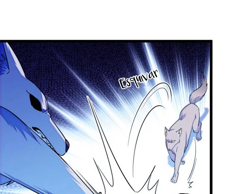 15 El lindo mundo de las bestias