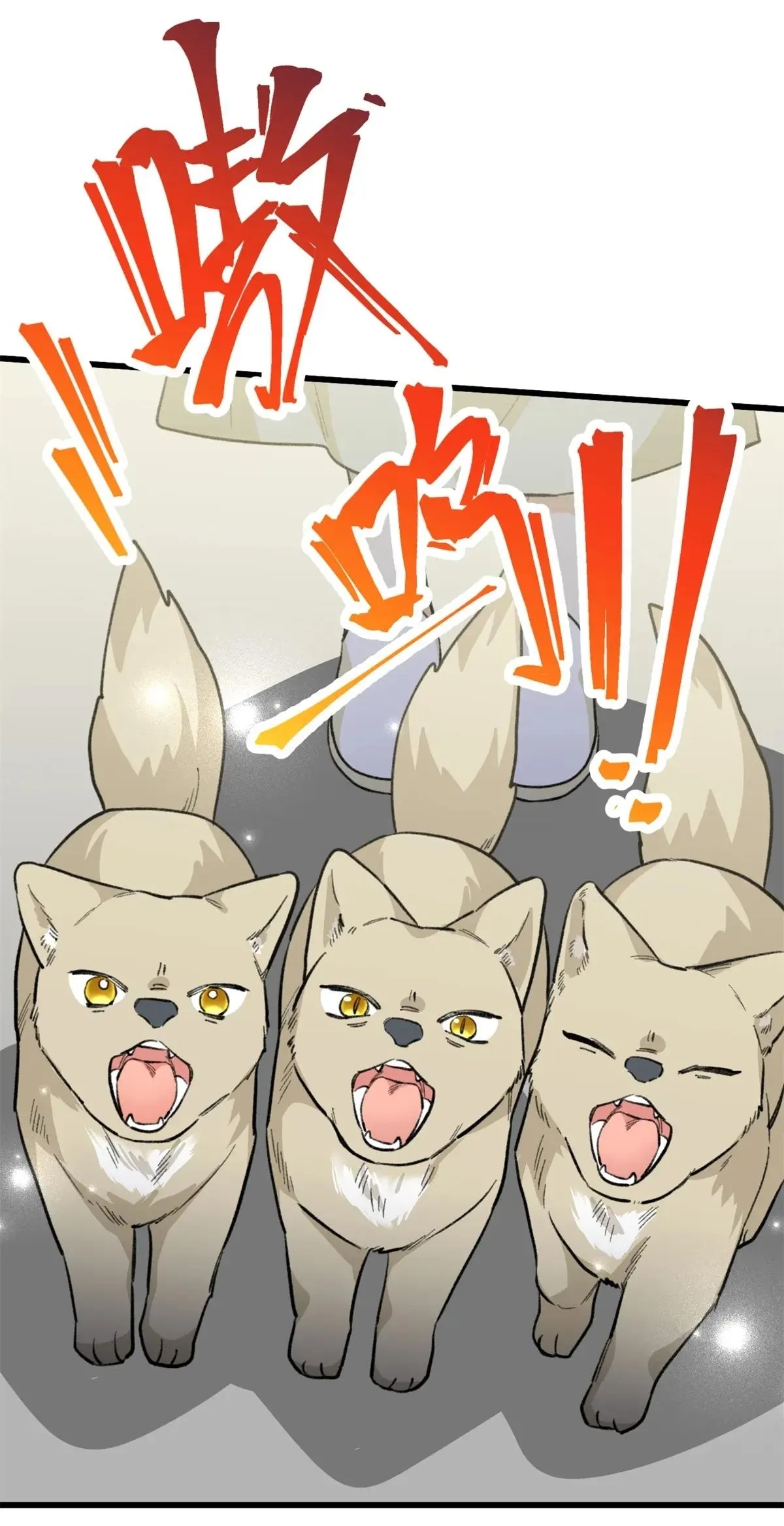 11 Mi maestro cruzo la linea