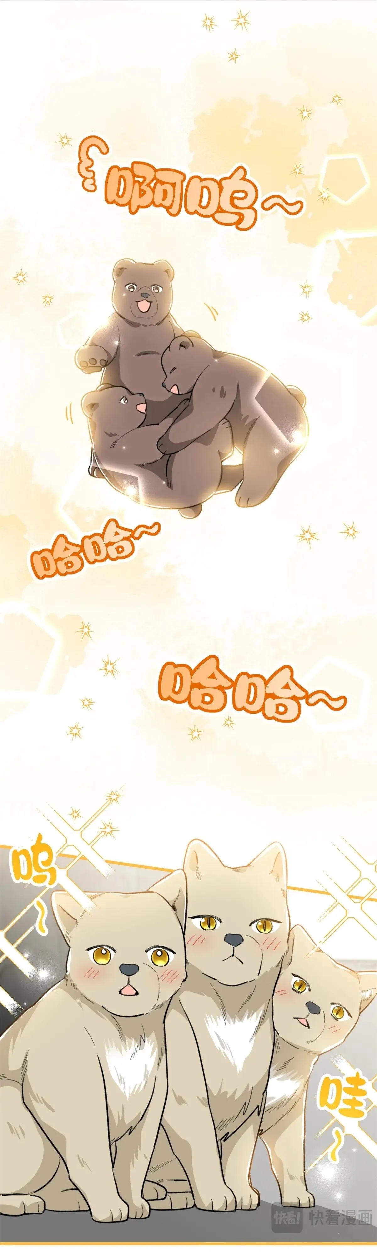 14 Mi maestro cruzo la linea