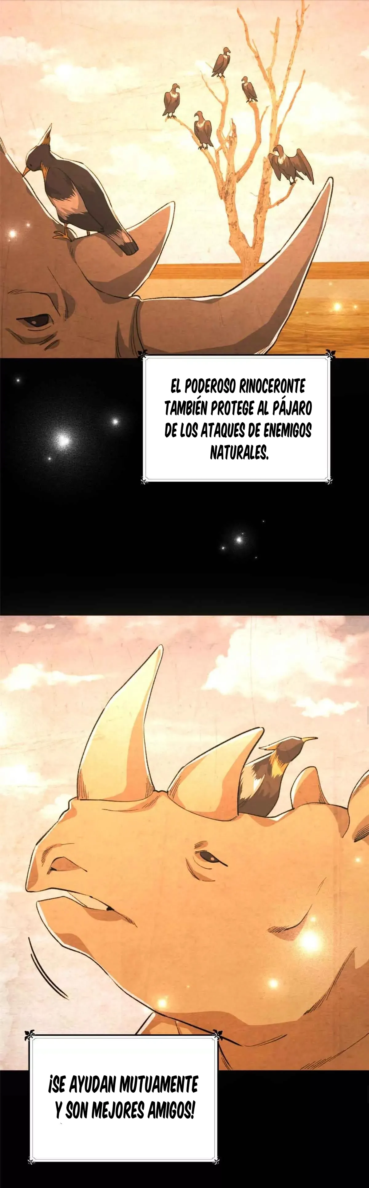 8 Mi maestro cruzo la linea