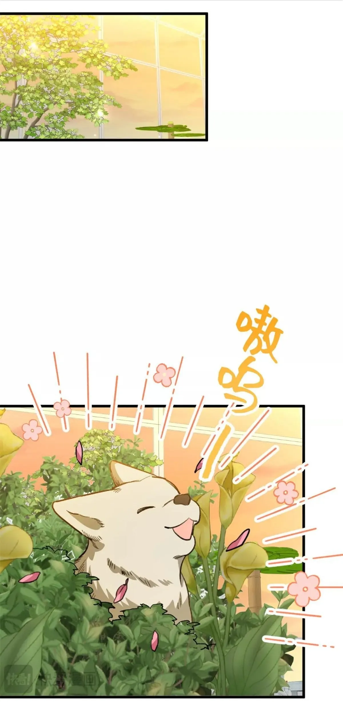 15 Mi maestro cruzo la linea