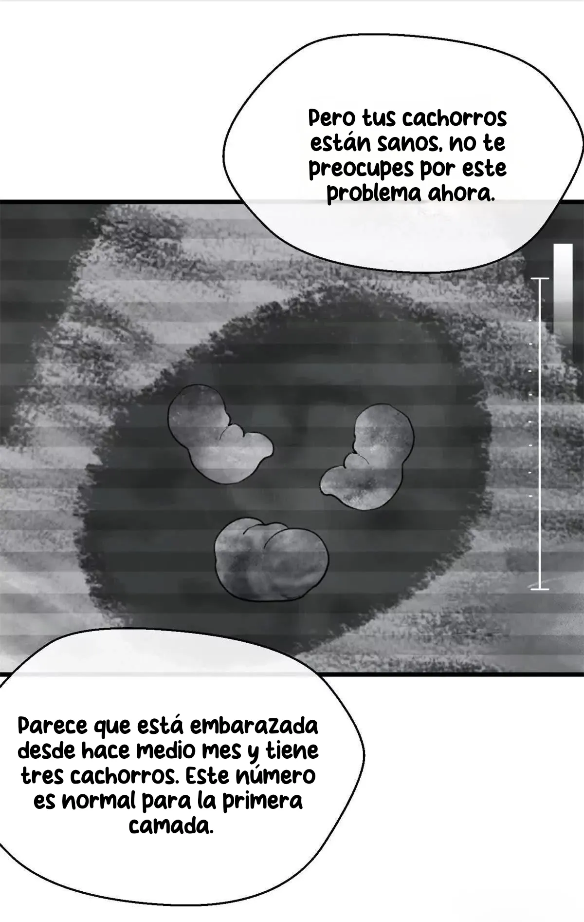 15 Mi maestro cruzo la linea