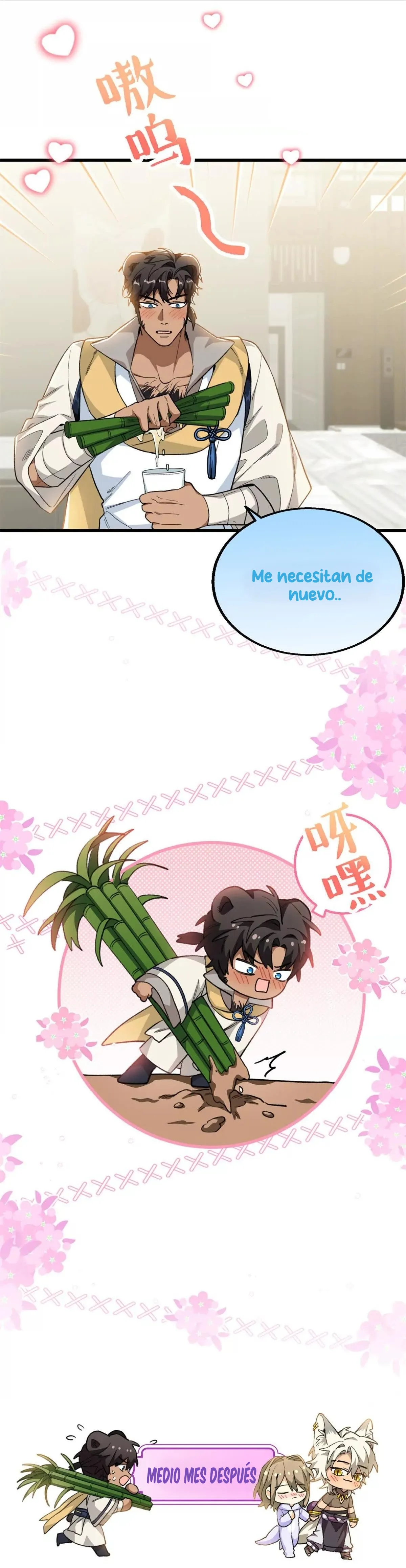 15 Mi maestro cruzo la linea