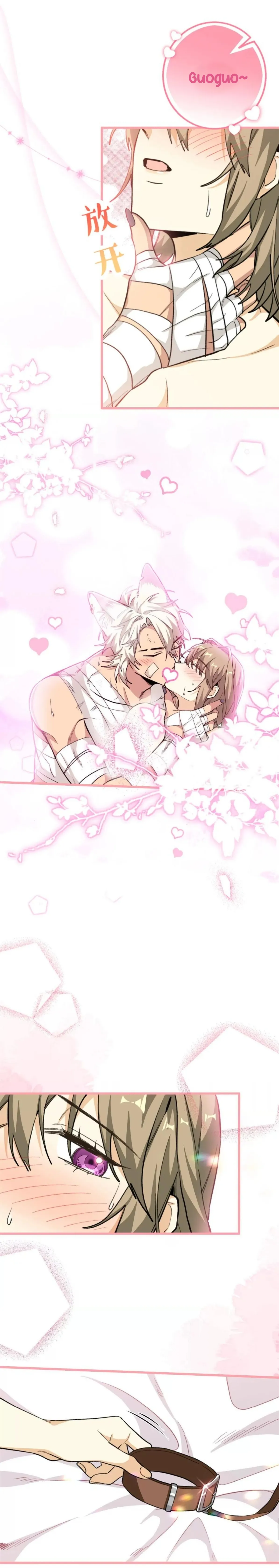 14 Mi maestro cruzo la linea