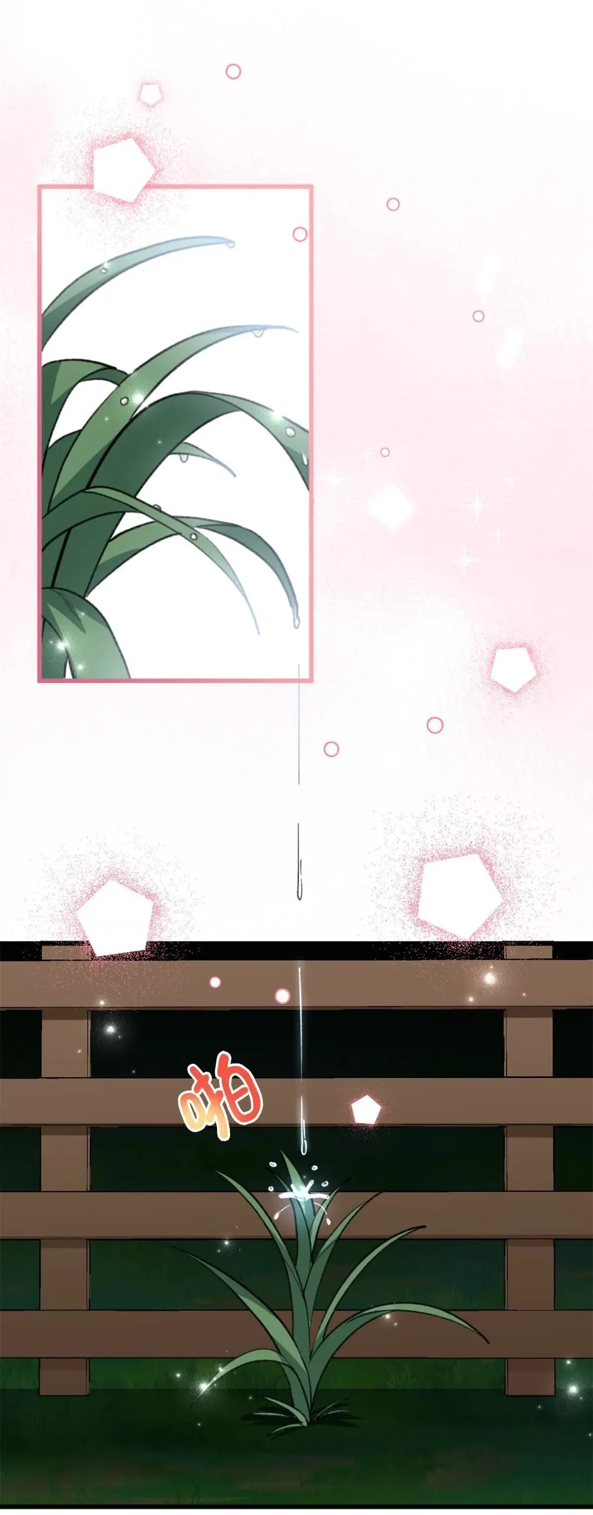 14 Mi maestro cruzo la linea