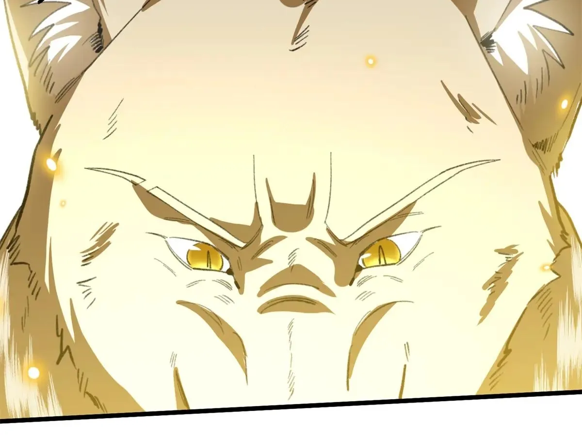 48 Mi maestro cruzo la linea