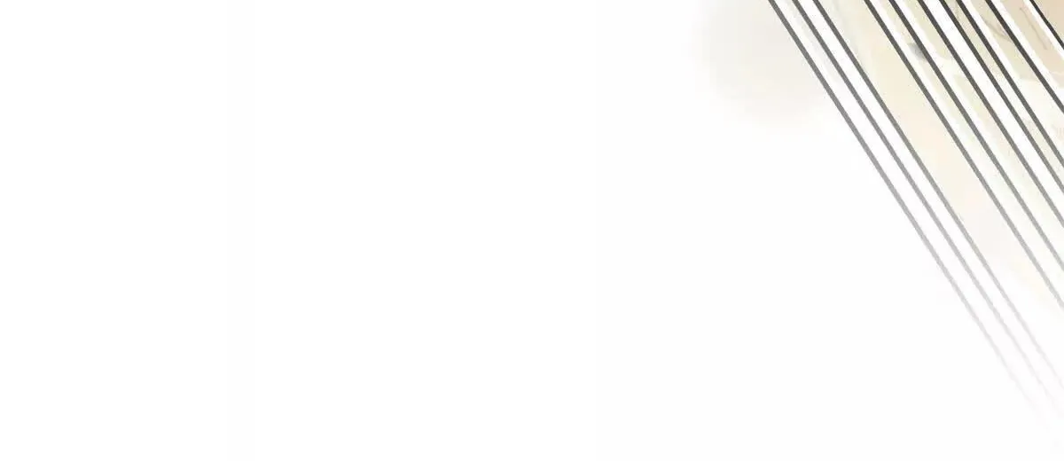 33 Mi maestro cruzo la linea