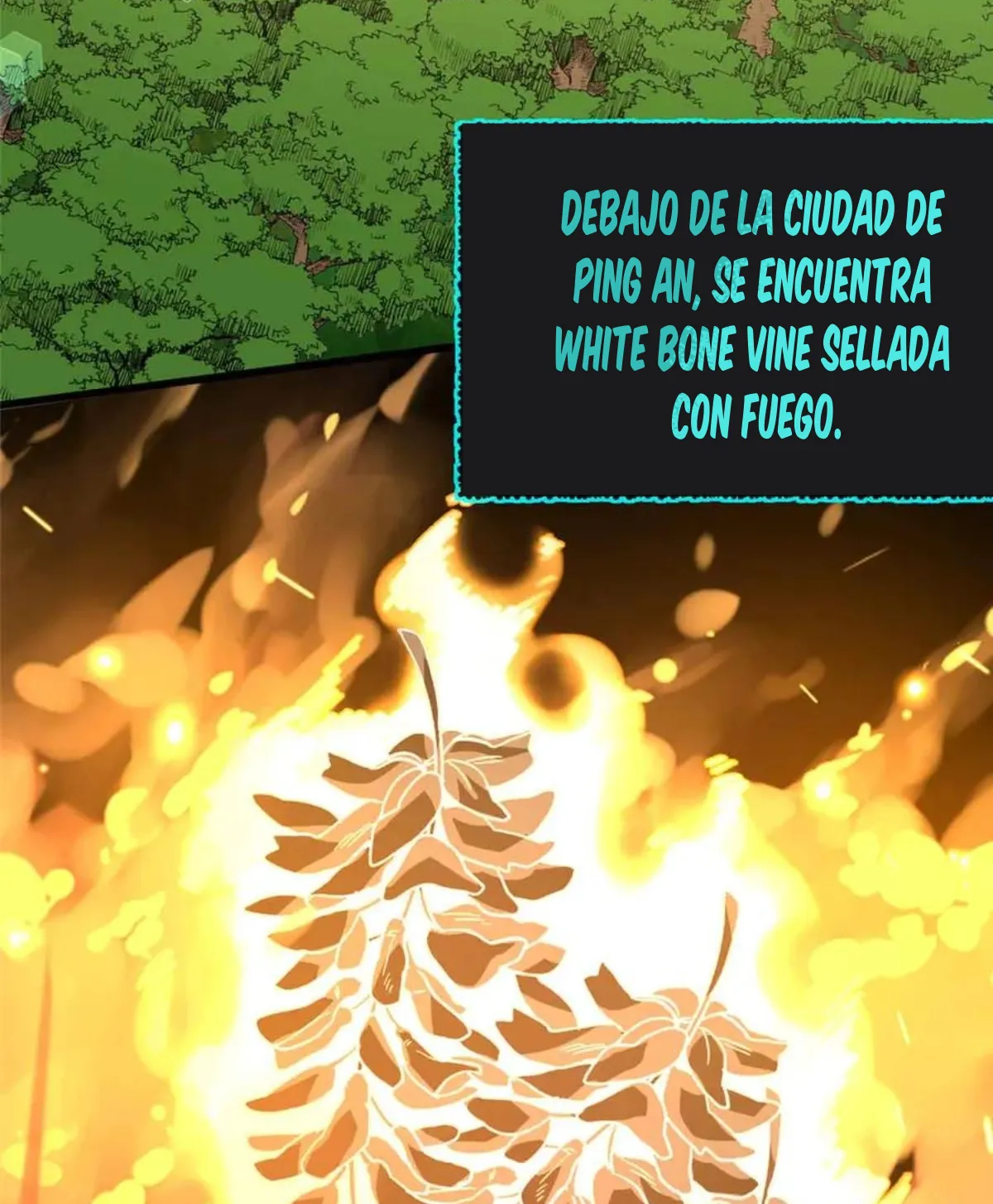 28 Mi maestro cruzo la linea