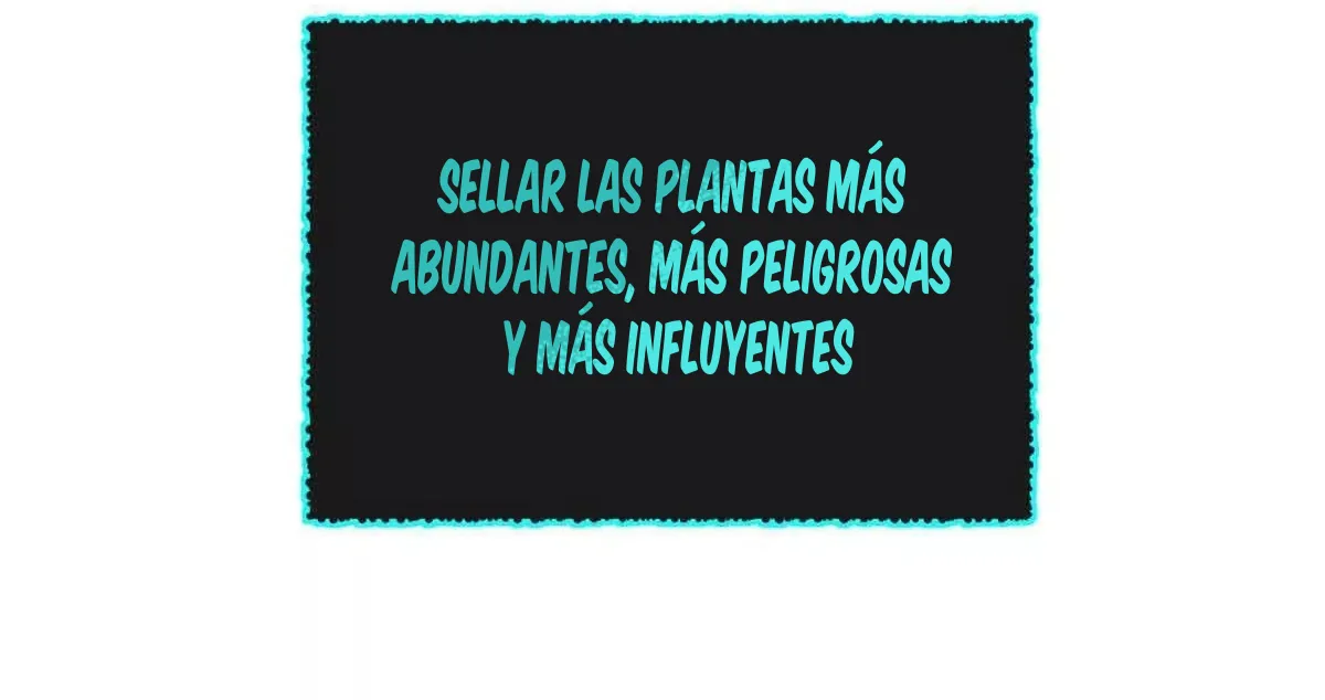 24 Mi maestro cruzo la linea