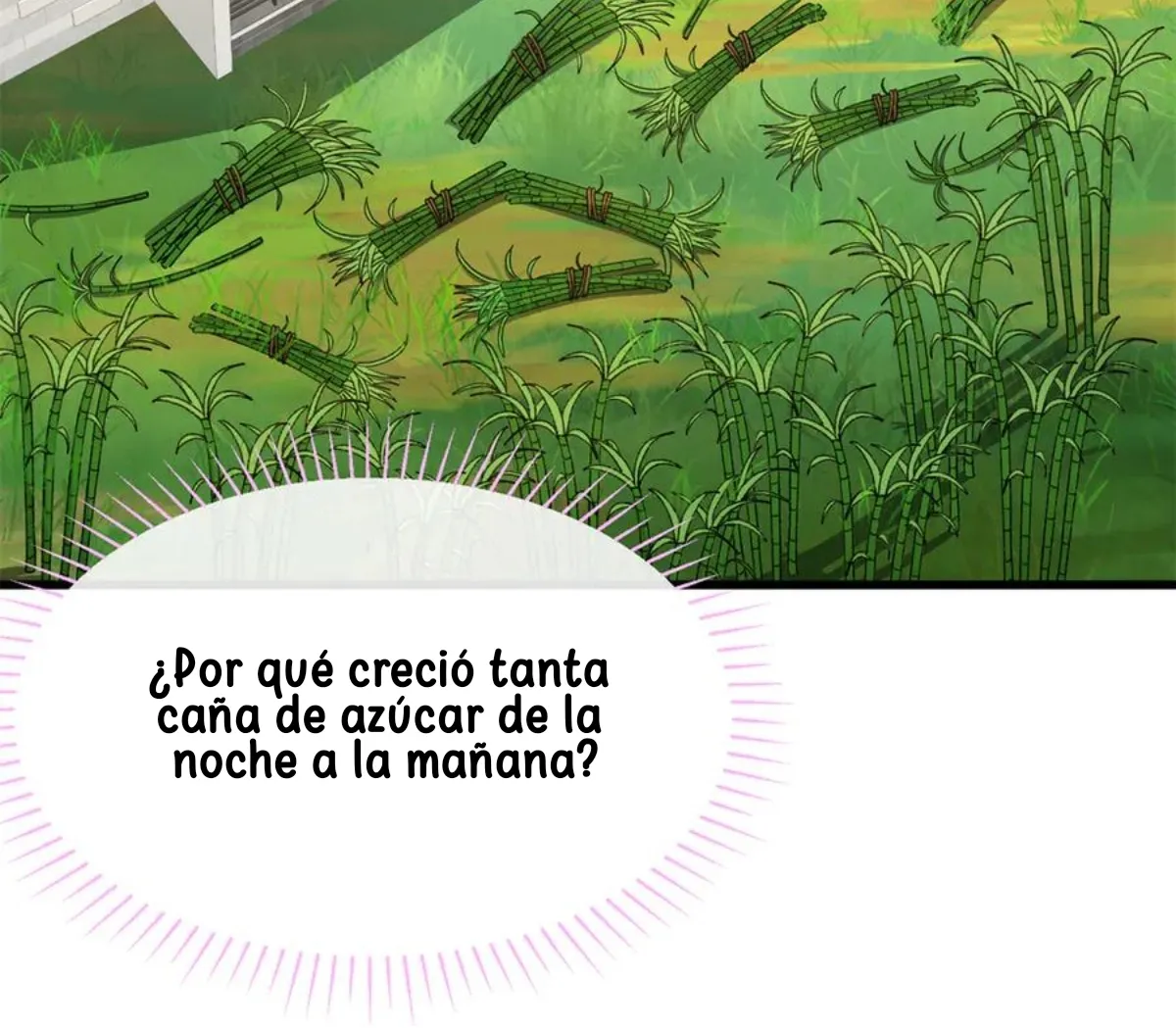 51 Mi maestro cruzo la linea