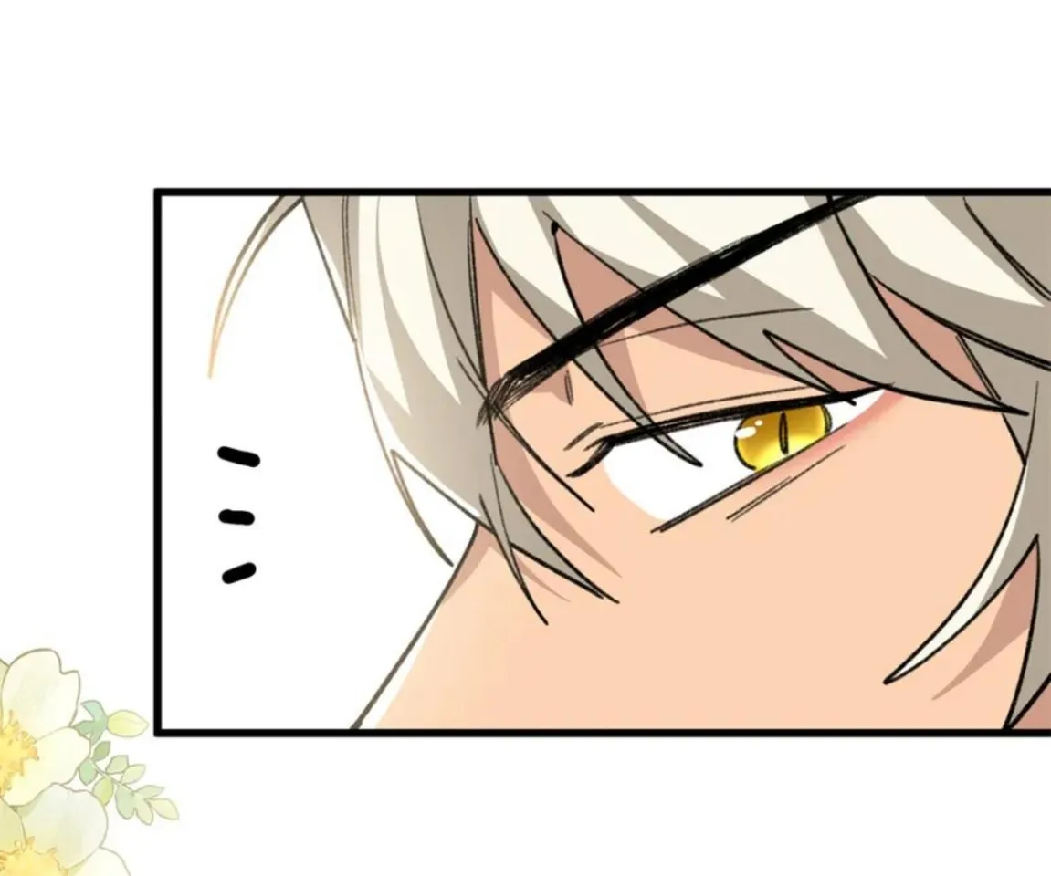 3 Mi maestro cruzo la linea