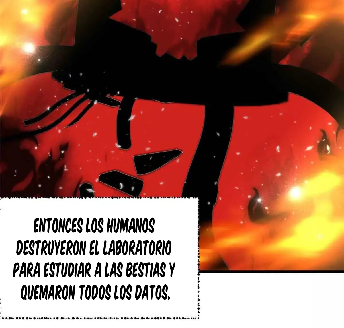 52 Mi maestro cruzo la linea