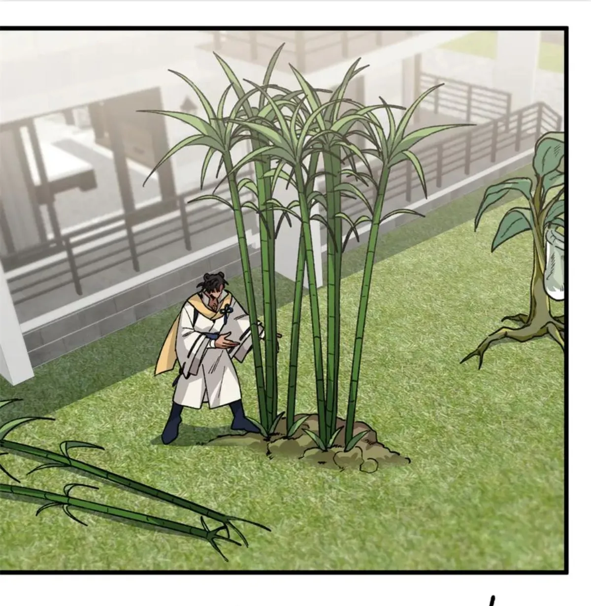 5 Mi maestro cruzo la linea