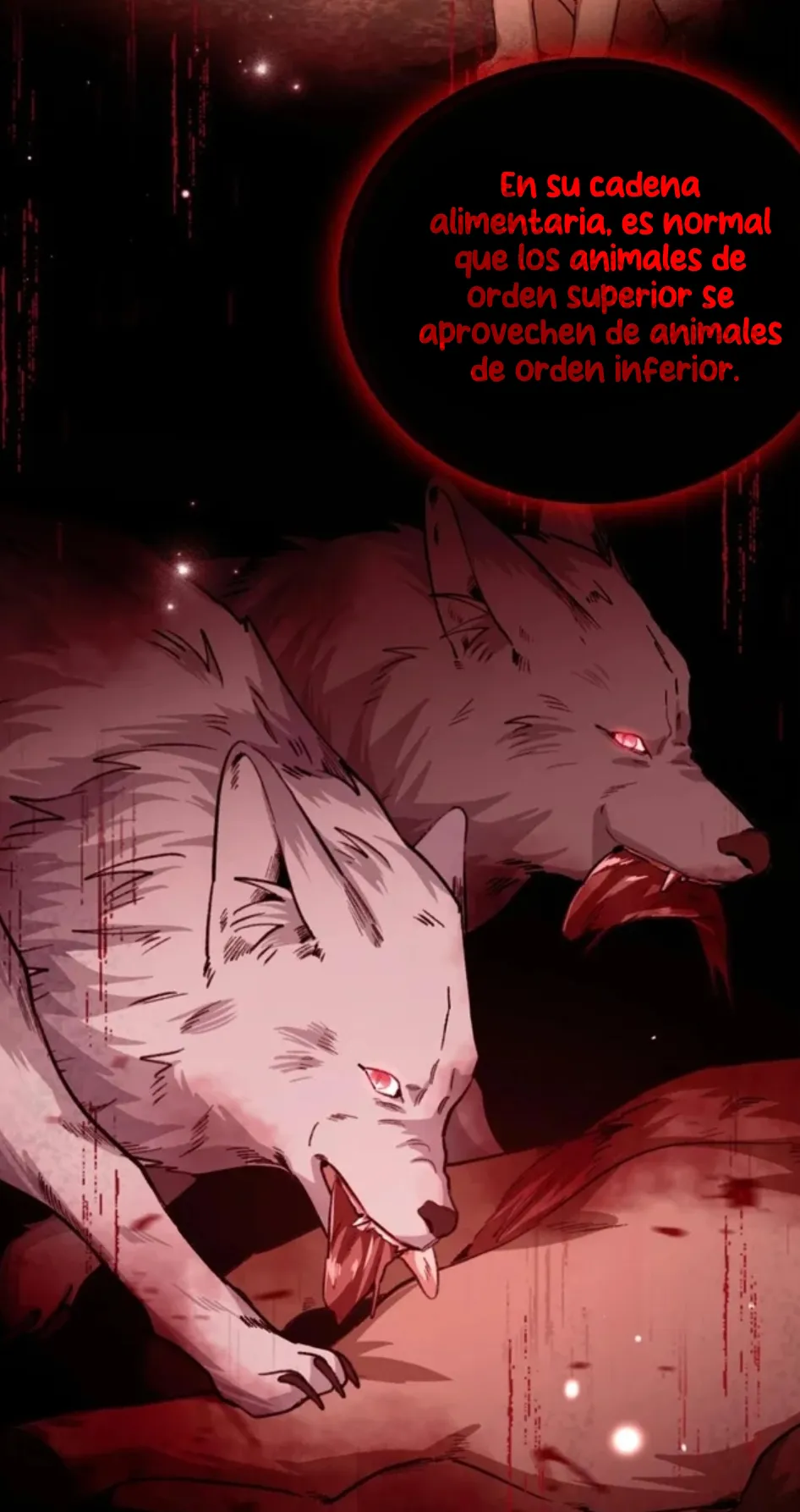 8 Mi maestro cruzo la linea