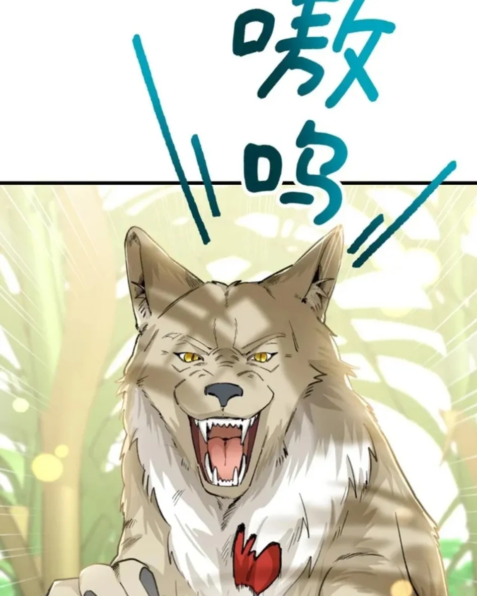 28 Mi maestro cruzo la linea