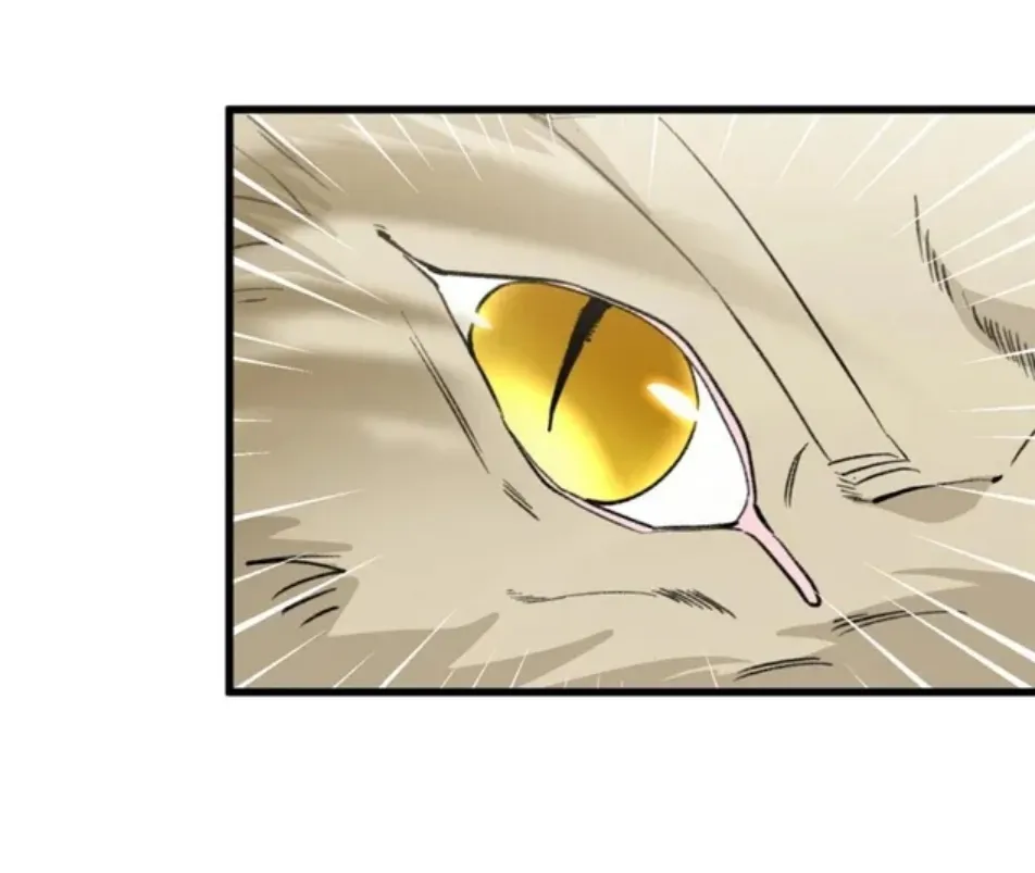 31 Mi maestro cruzo la linea