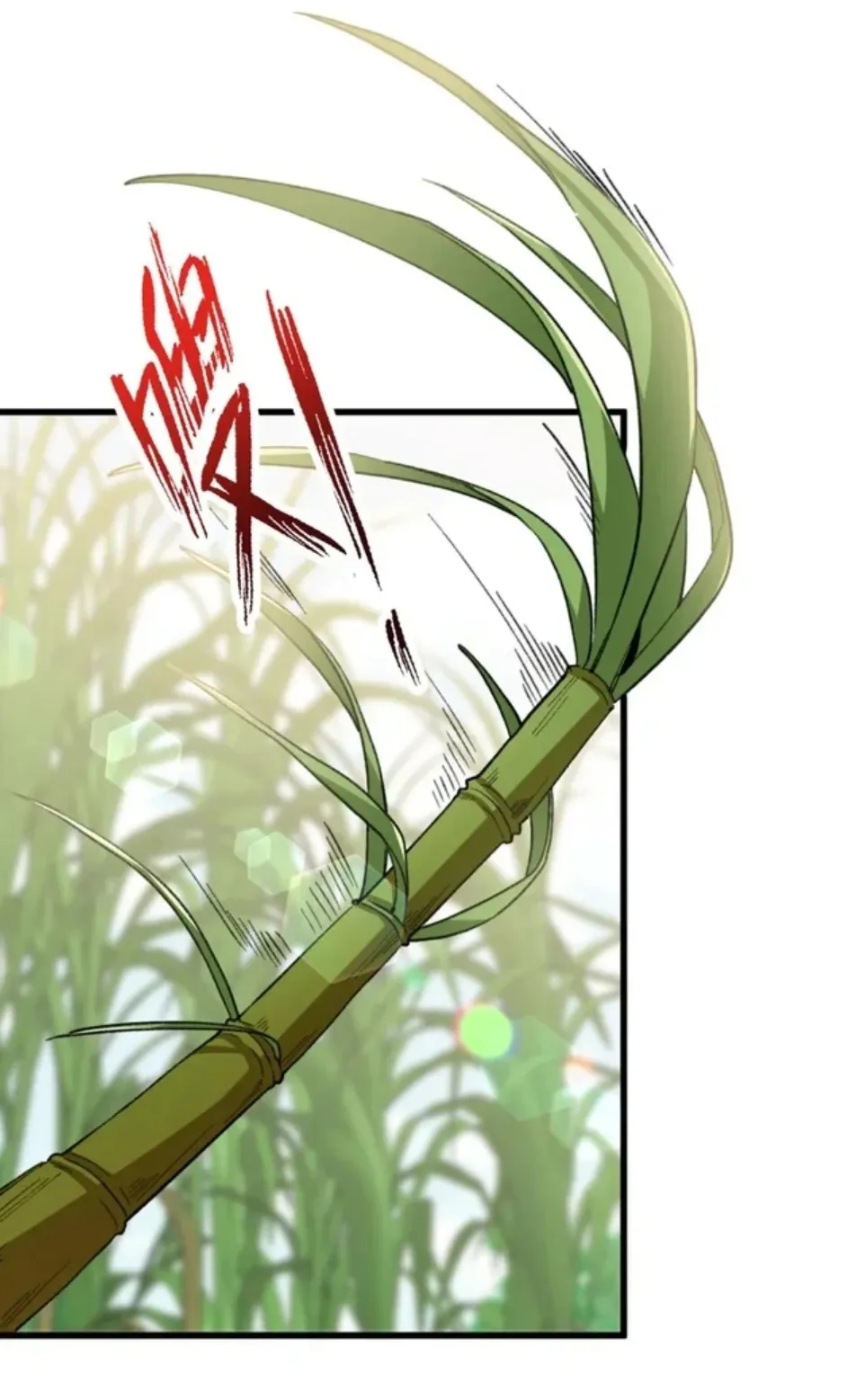 30 Mi maestro cruzo la linea