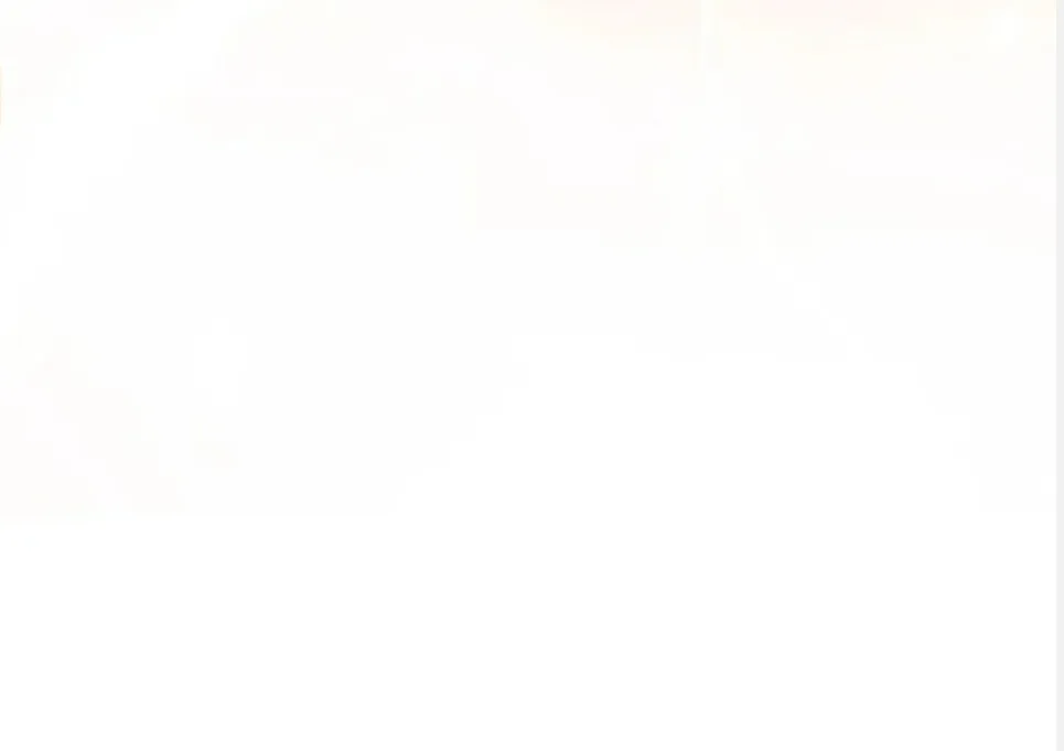 24 Mi maestro cruzo la linea