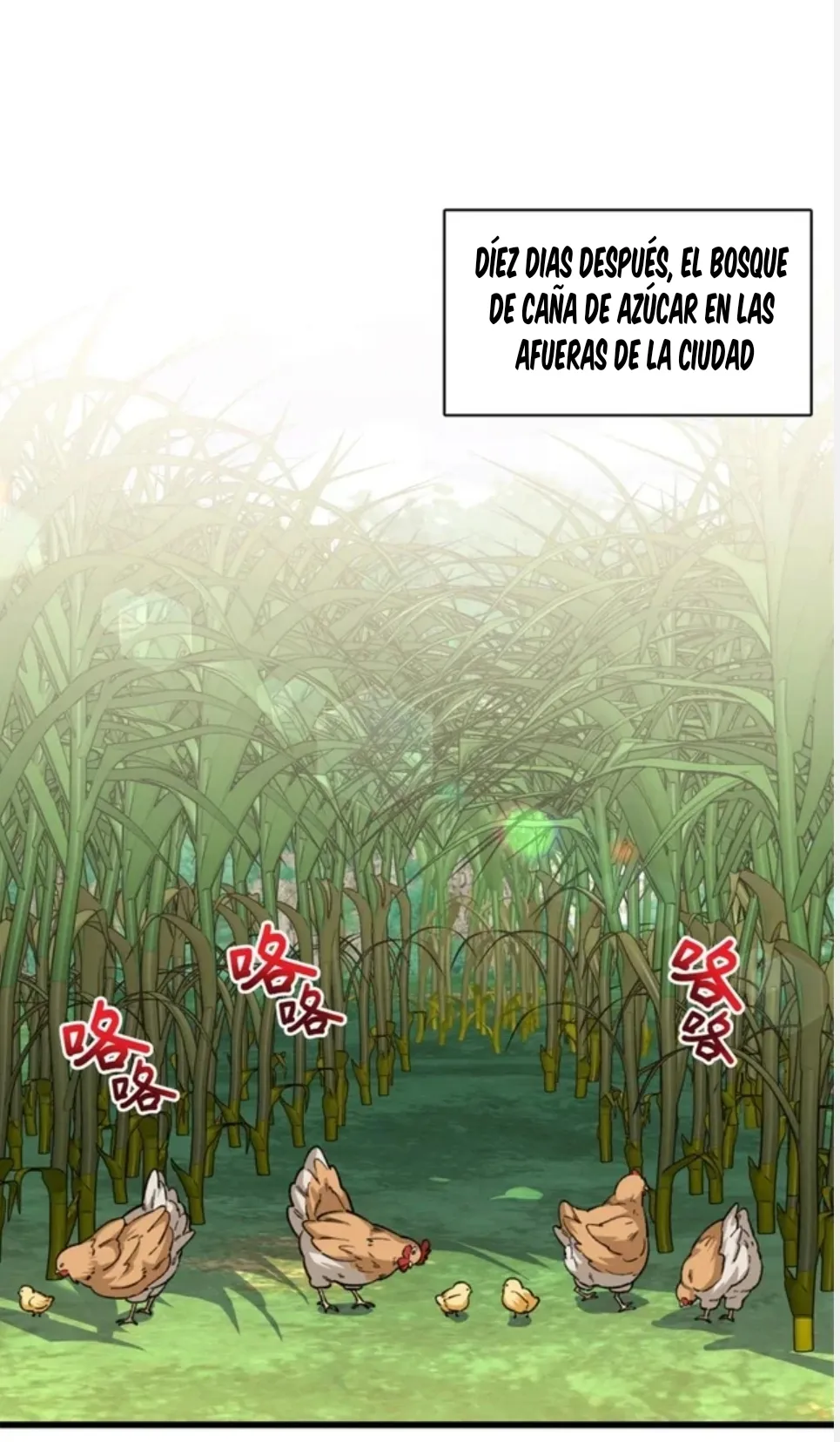 25 Mi maestro cruzo la linea