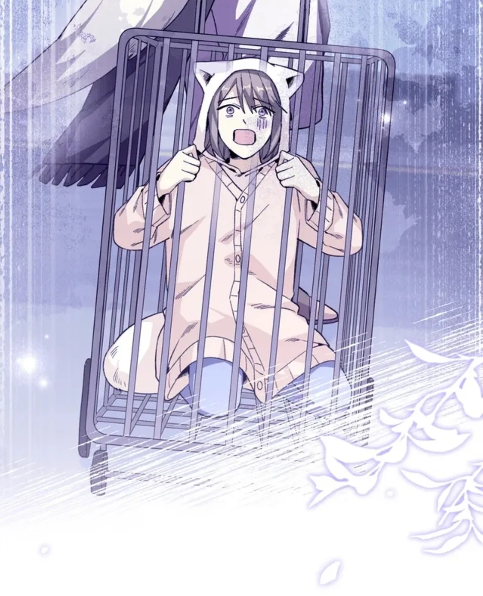 43 Mi maestro cruzo la linea