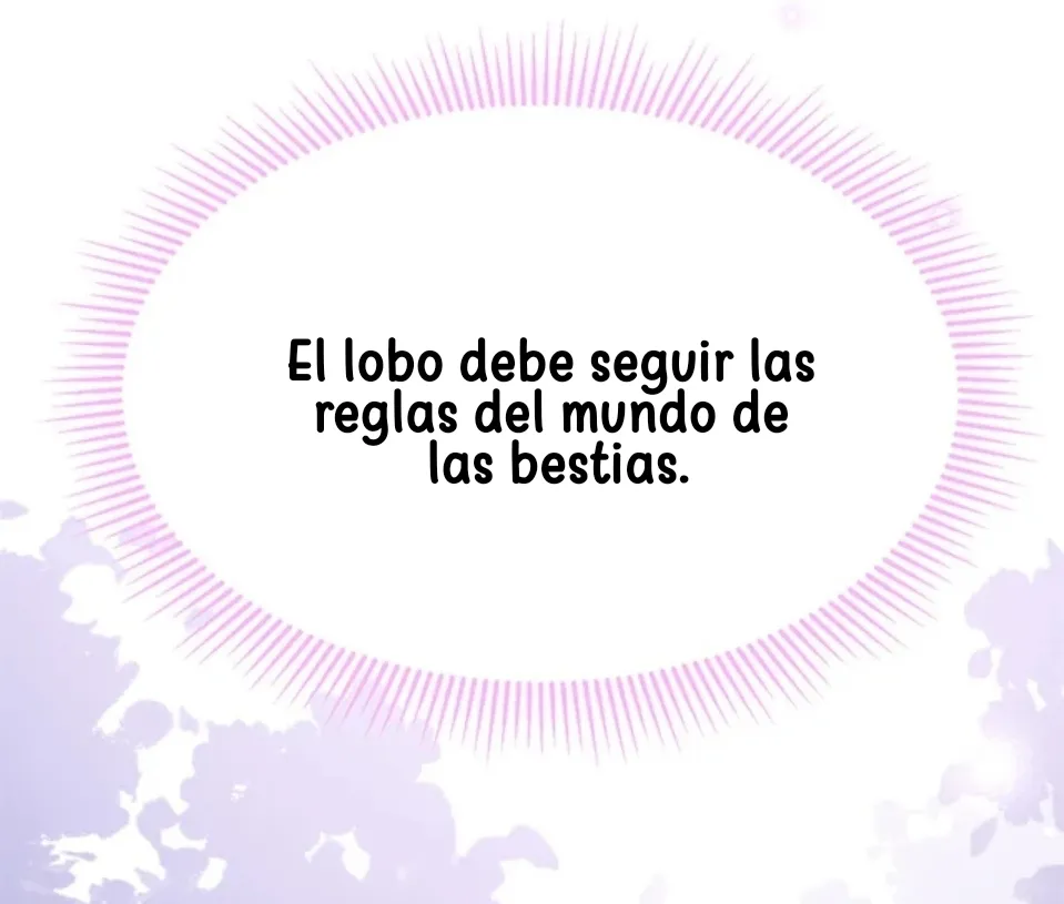 40 Mi maestro cruzo la linea