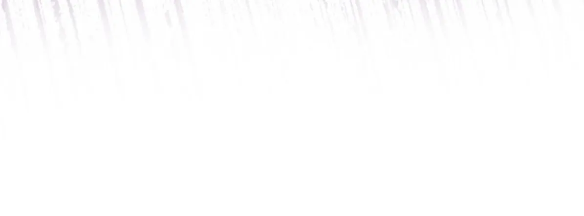 27 Mi maestro cruzo la linea