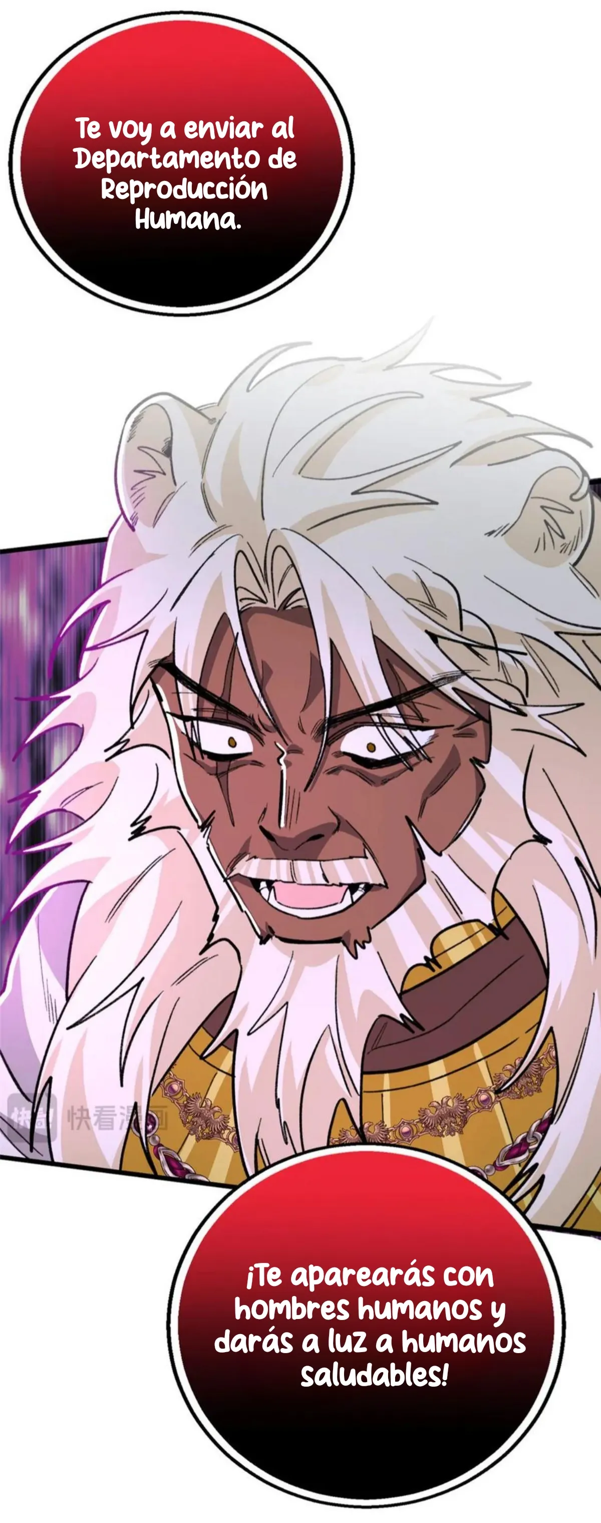 14 Mi maestro cruzo la linea