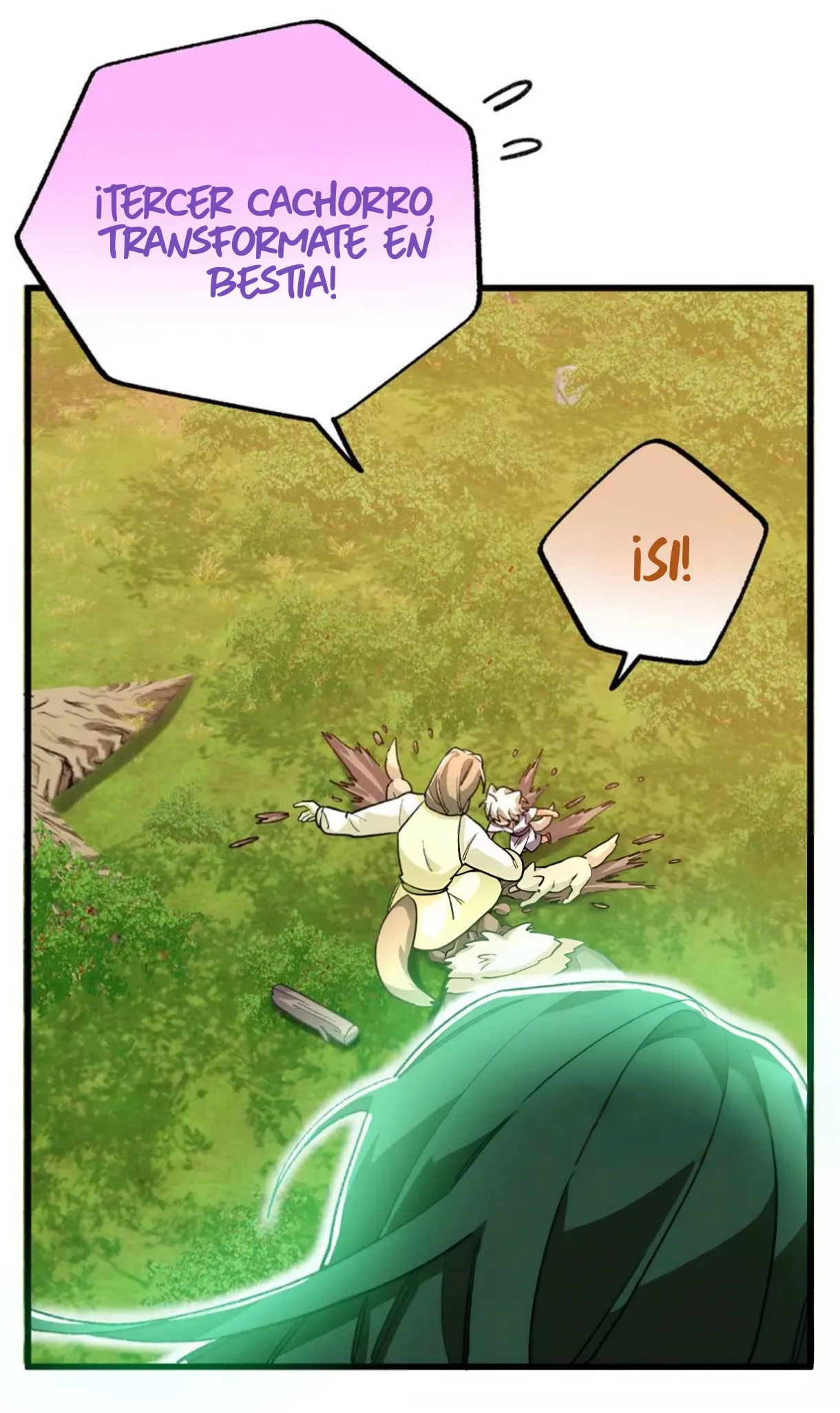 11 Mi maestro cruzo la linea