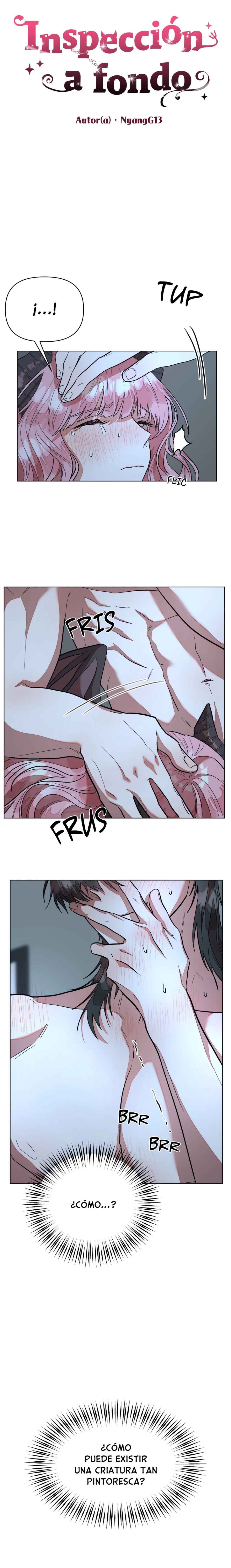 0 Revisión a Puerta Cerrada