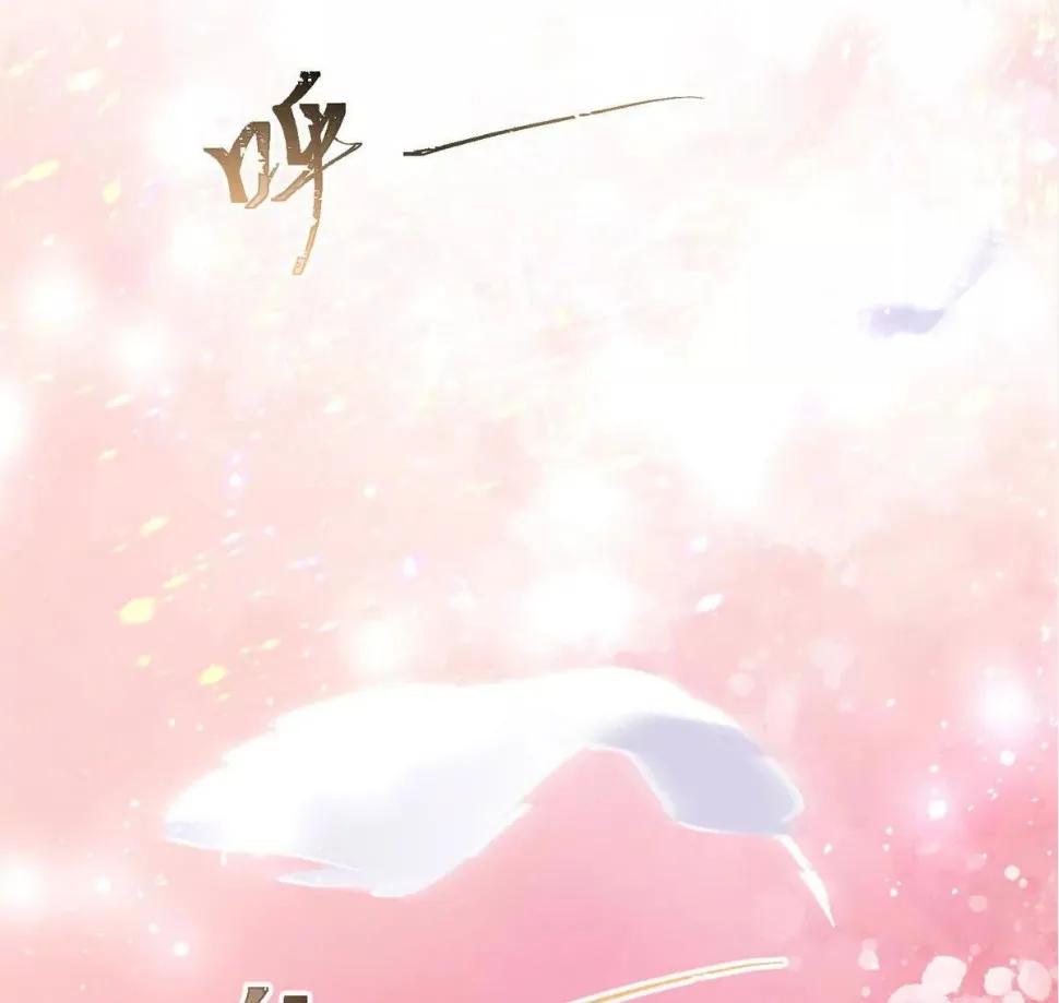 19 Me casé con mi comandante