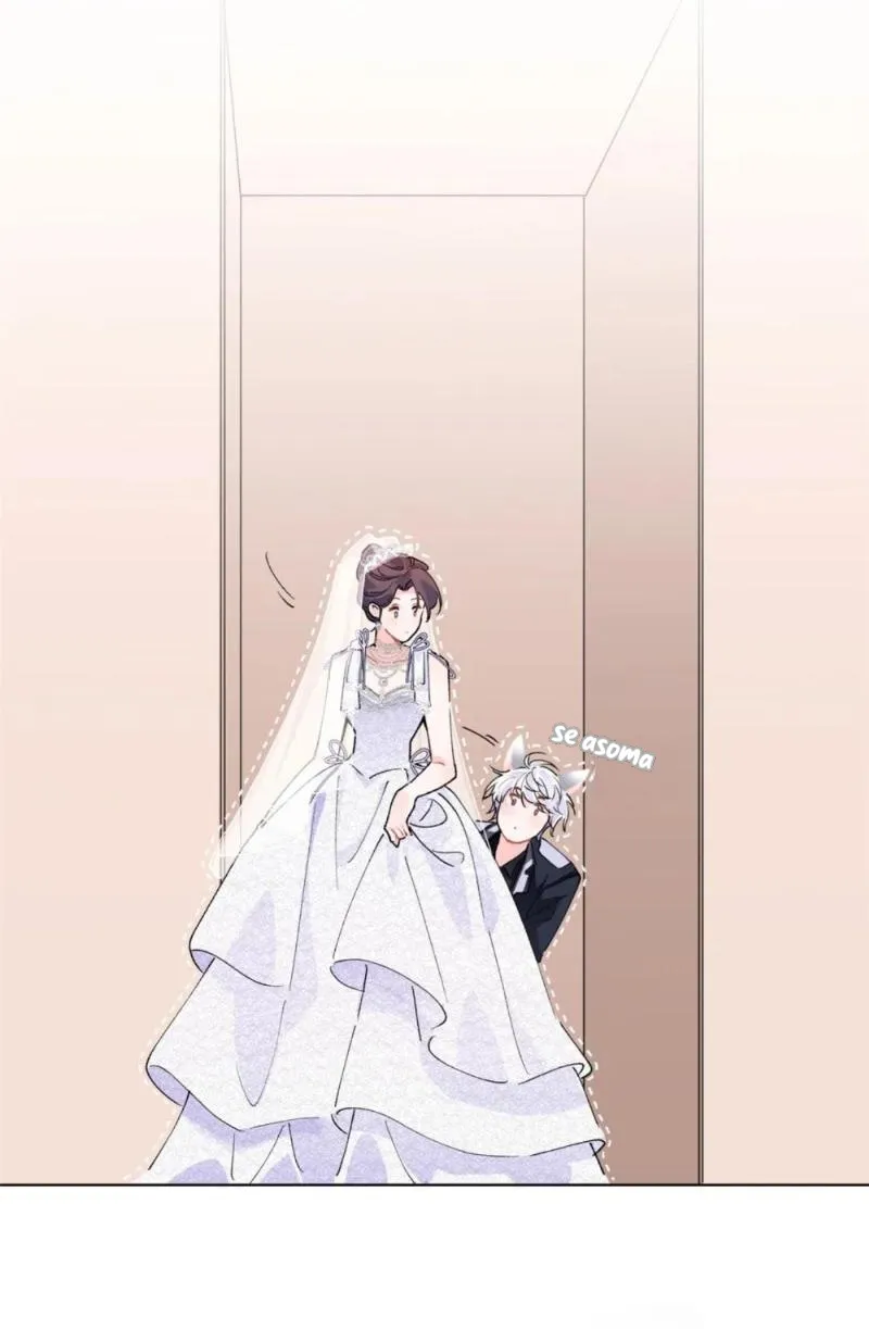 41 Me casé con mi comandante