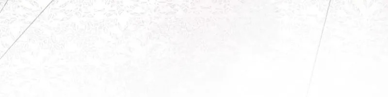 48 Me casé con mi comandante