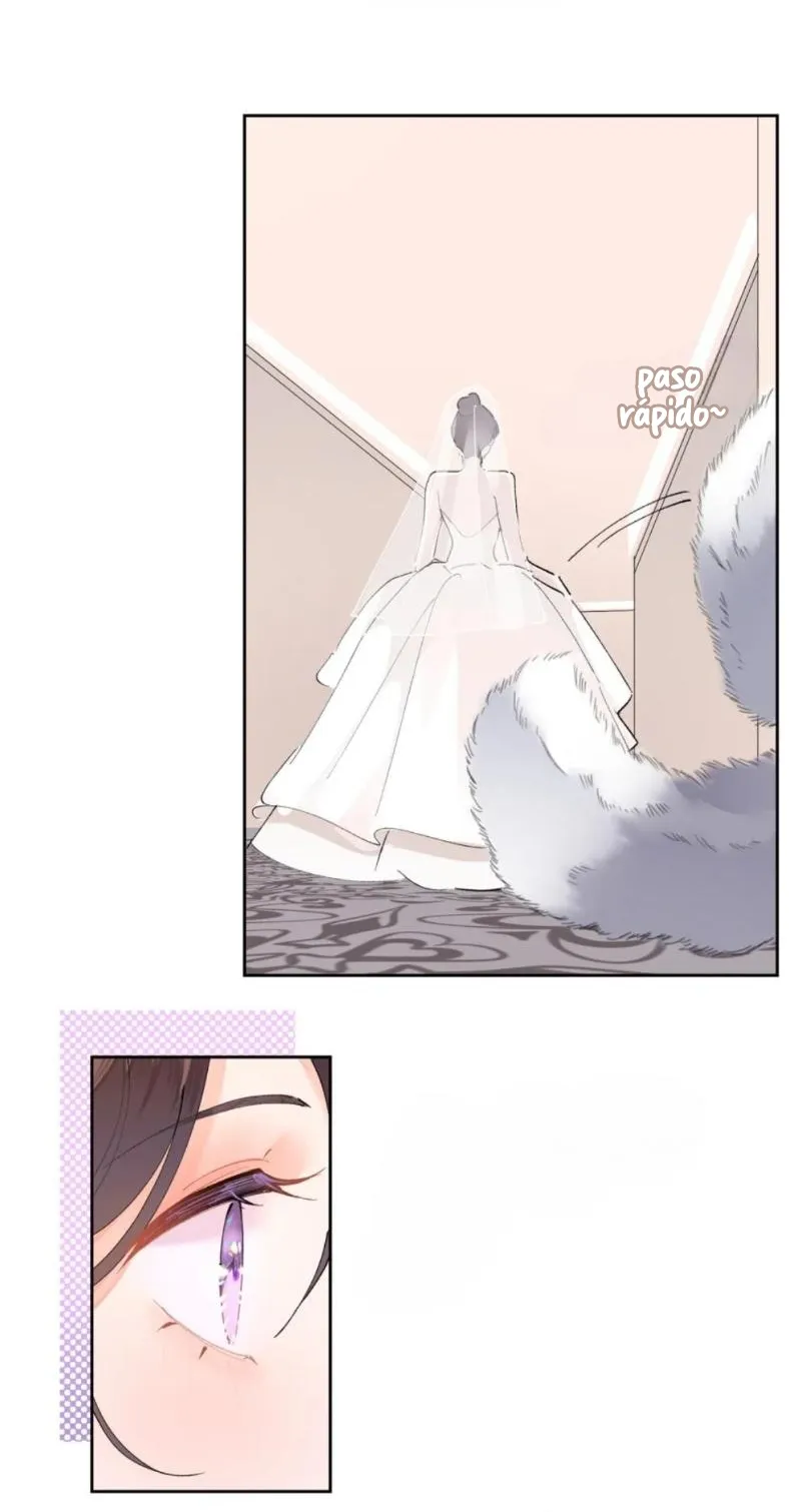 4 Me casé con mi comandante