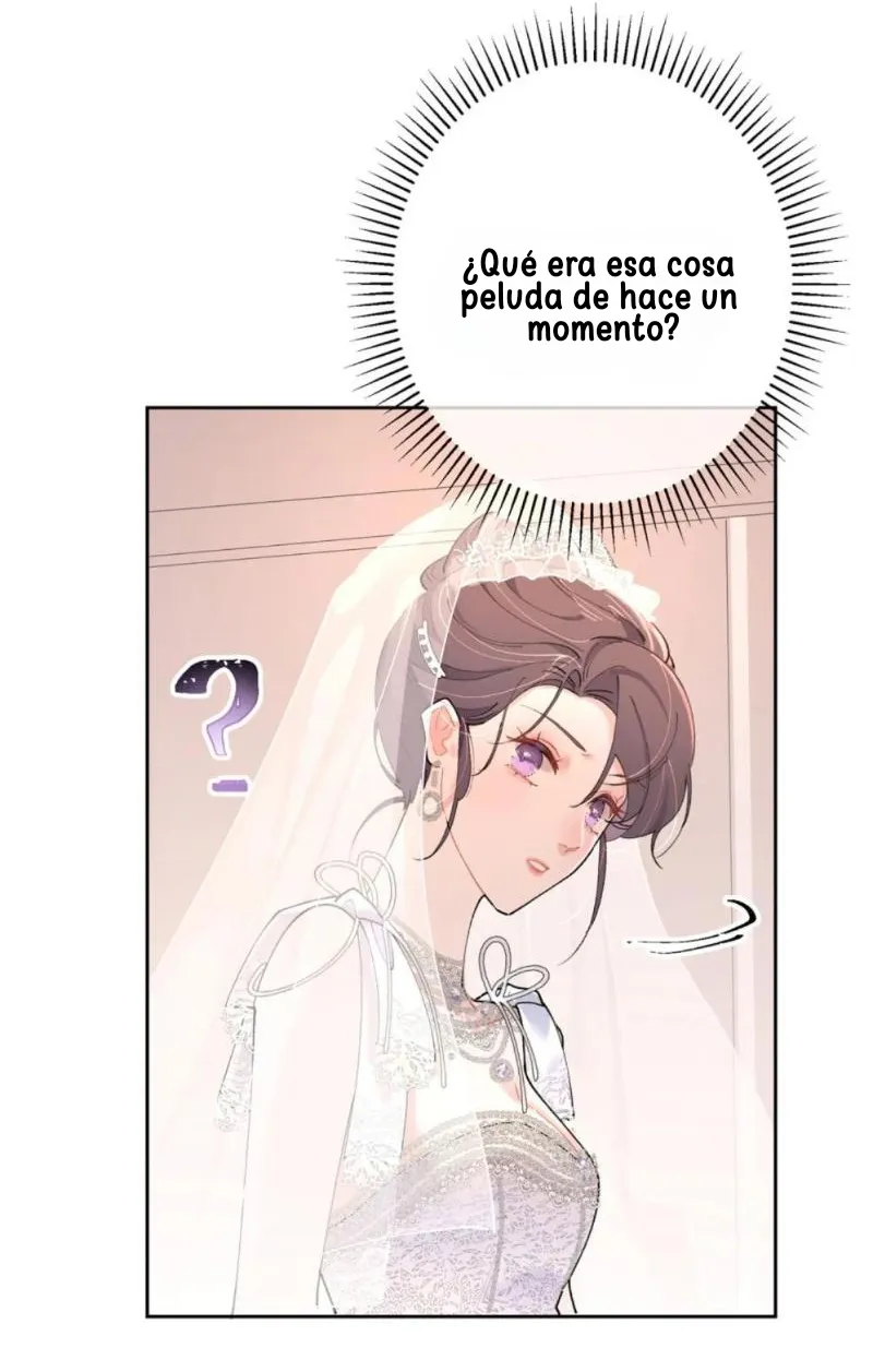 5 Me casé con mi comandante