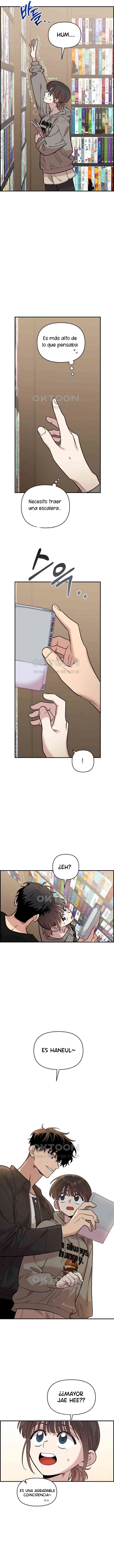 12 Complejo De Amigos