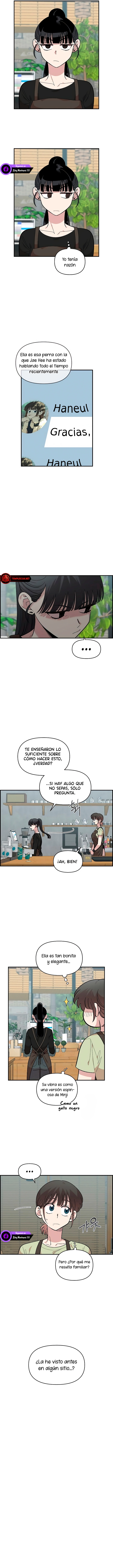 7 Complejo De Amigos