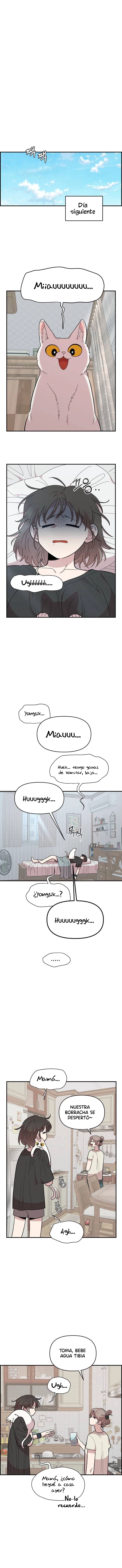 8 Complejo De Amigos