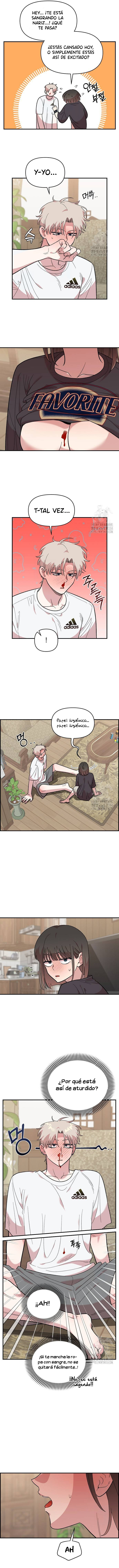 5 Complejo De Amigos