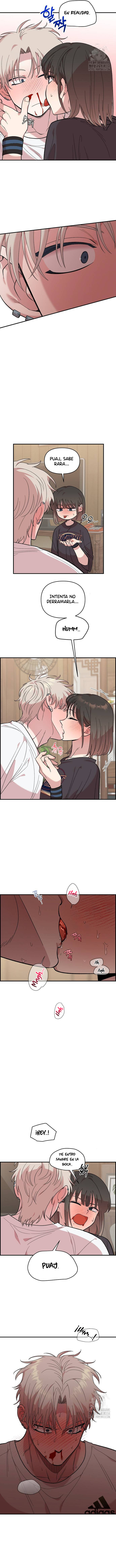 6 Complejo De Amigos