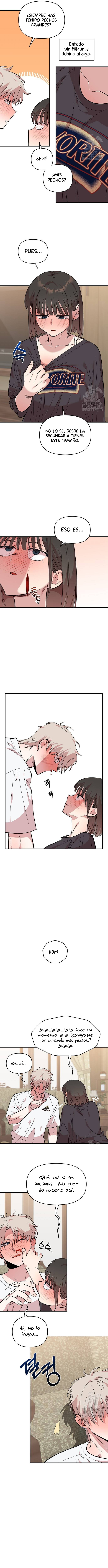 8 Complejo De Amigos