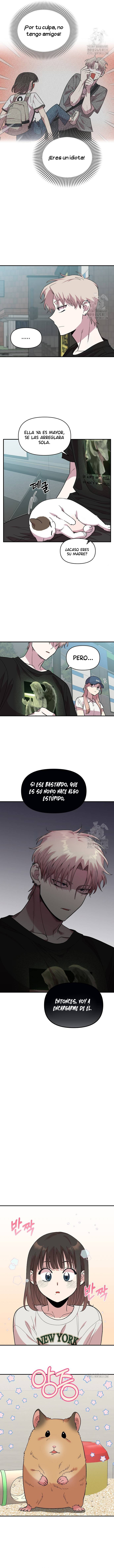 7 Complejo De Amigos