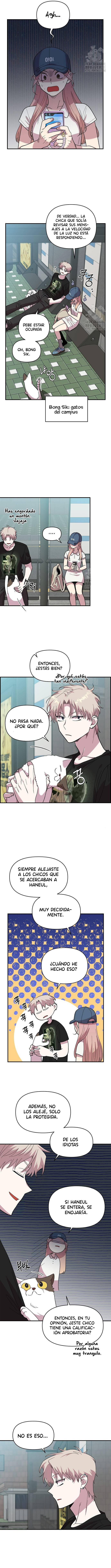 6 Complejo De Amigos