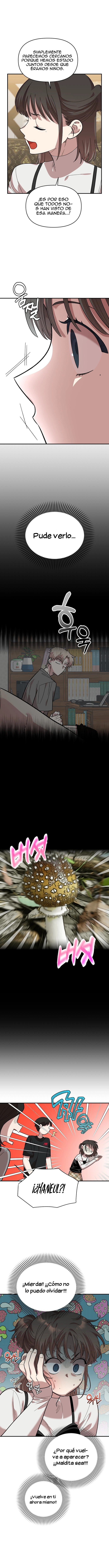 10 Complejo De Amigos