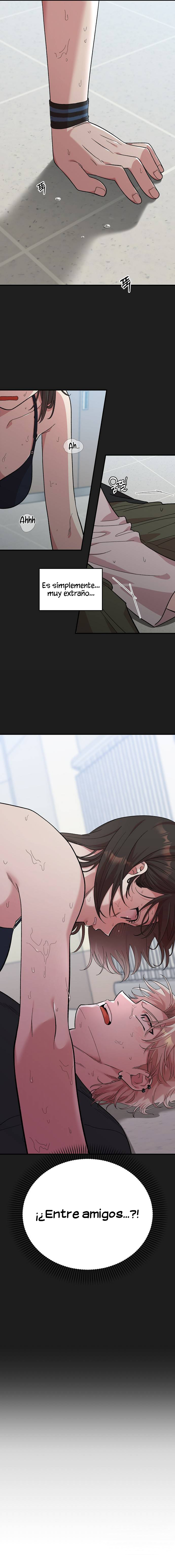 14 Complejo De Amigos