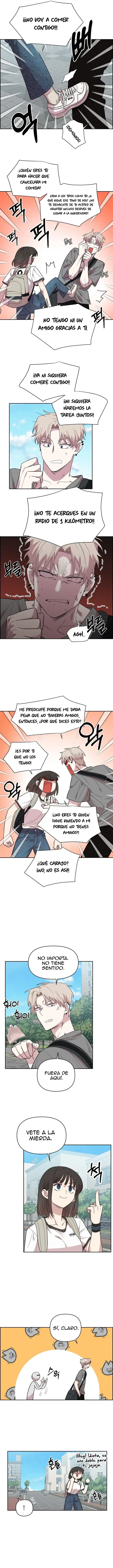 12 Complejo De Amigos