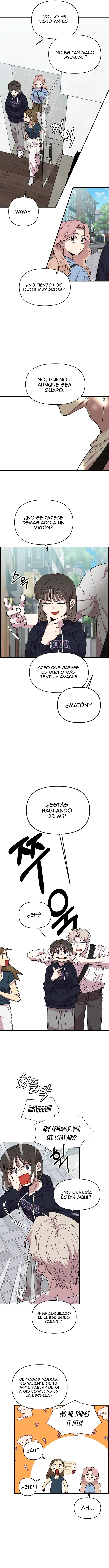 6 Complejo De Amigos