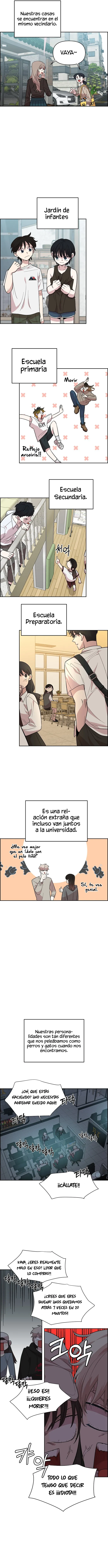 8 Complejo De Amigos