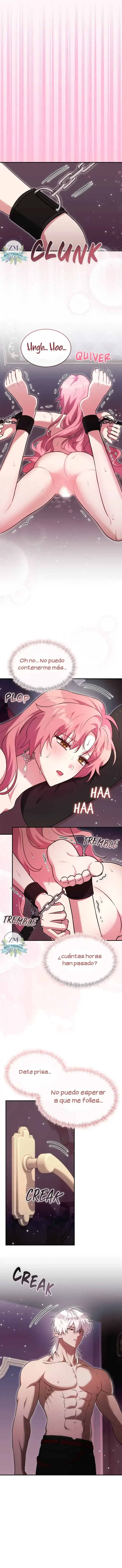 4 ¡Mi ardiente harén!