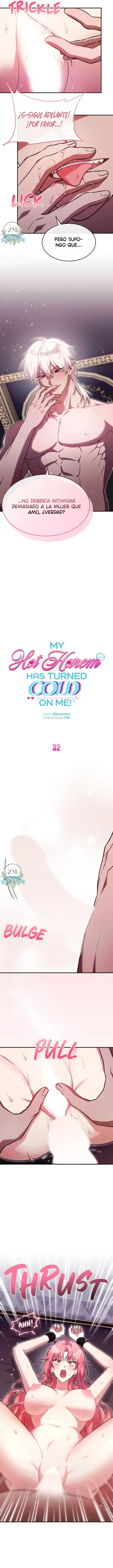 6 ¡Mi ardiente harén!