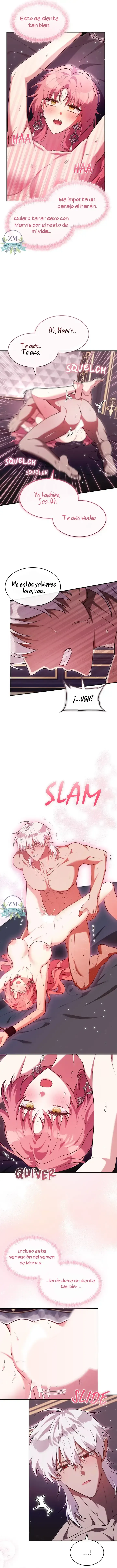 11 ¡Mi ardiente harén!